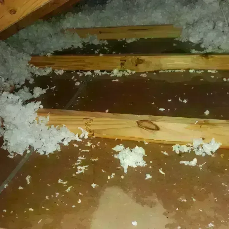 Attic Water Damage in Farmville, VA