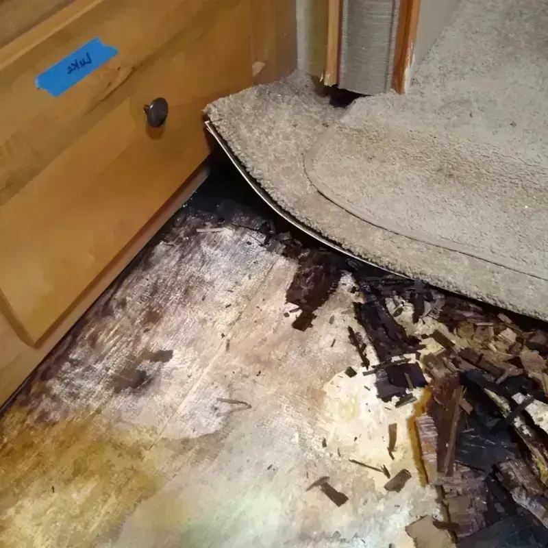 Wood Floor Water Damage in Farmville, VA